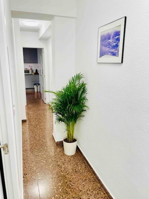 Citadella Apartment Sagunto Exterior foto
